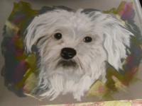 /album/galerie-photos/photo-1684-jpg/